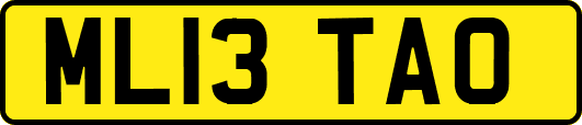 ML13TAO