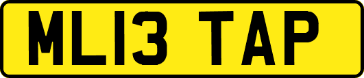 ML13TAP