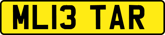 ML13TAR