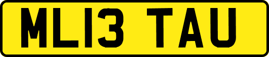 ML13TAU