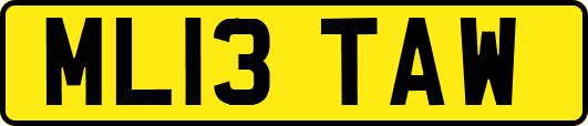 ML13TAW