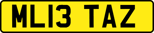 ML13TAZ