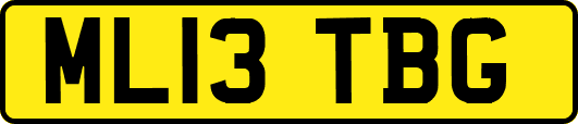 ML13TBG