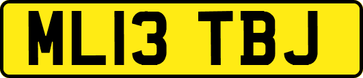 ML13TBJ