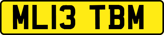 ML13TBM