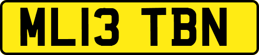 ML13TBN