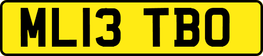 ML13TBO