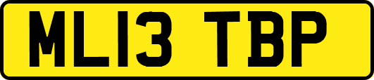 ML13TBP