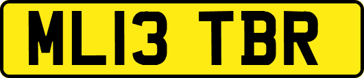 ML13TBR