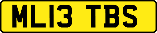 ML13TBS