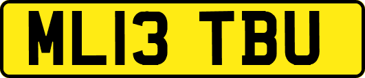 ML13TBU