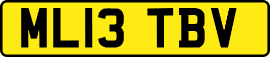 ML13TBV