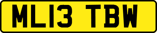 ML13TBW