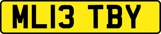 ML13TBY