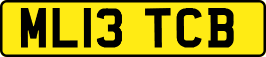 ML13TCB