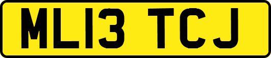 ML13TCJ