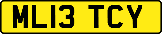 ML13TCY