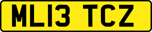 ML13TCZ