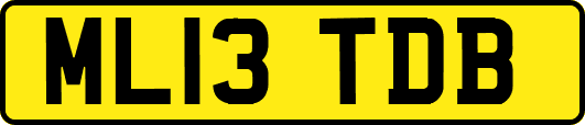 ML13TDB