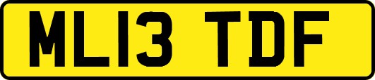 ML13TDF