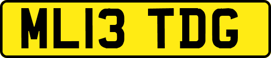 ML13TDG