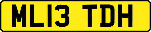 ML13TDH