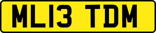 ML13TDM