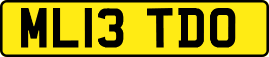 ML13TDO
