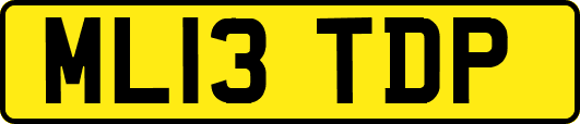 ML13TDP