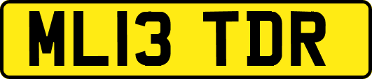 ML13TDR