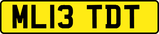 ML13TDT