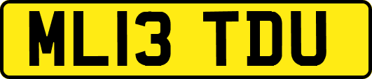 ML13TDU