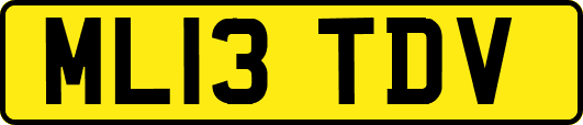 ML13TDV