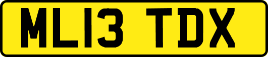 ML13TDX