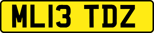 ML13TDZ