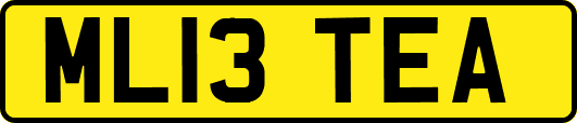 ML13TEA