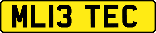 ML13TEC