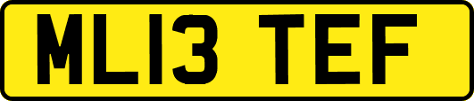 ML13TEF