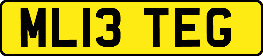 ML13TEG