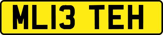 ML13TEH