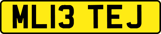 ML13TEJ