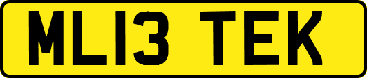 ML13TEK