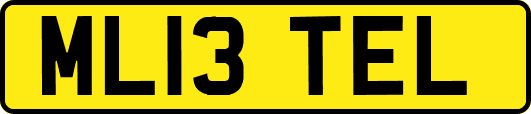 ML13TEL