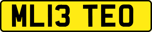 ML13TEO