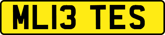 ML13TES