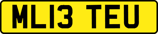 ML13TEU