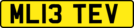 ML13TEV