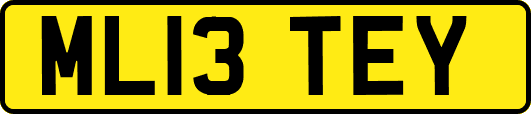 ML13TEY