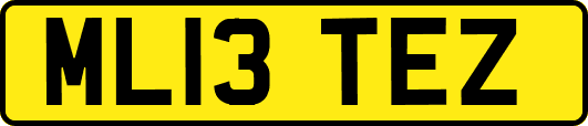 ML13TEZ