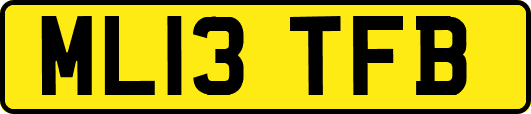 ML13TFB